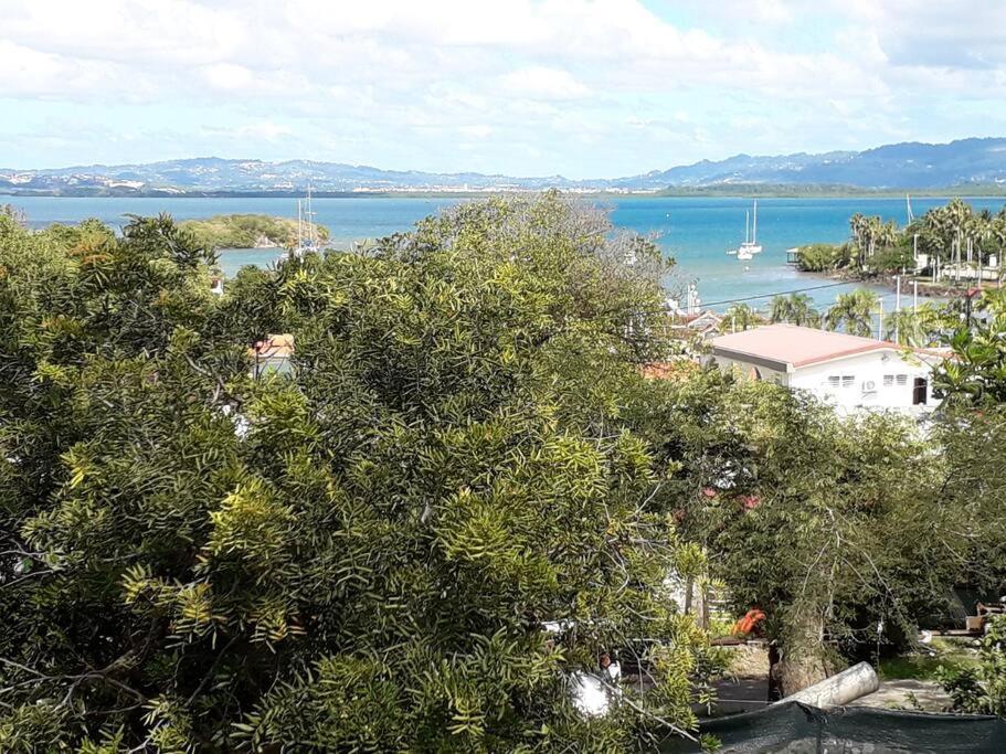 Location Saisonniere Bel Appartement Les Trois-Ilets Ngoại thất bức ảnh